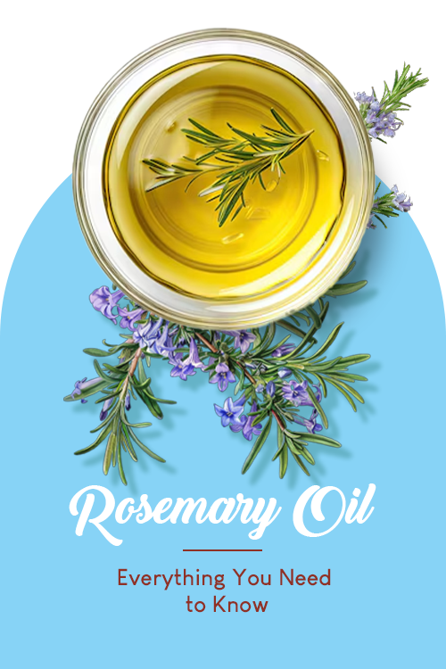 Rosemary Oil: Everything You Need to Know