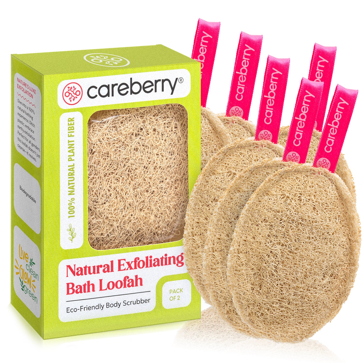 Earth Embrace Peeling-Natürlicher Luffa