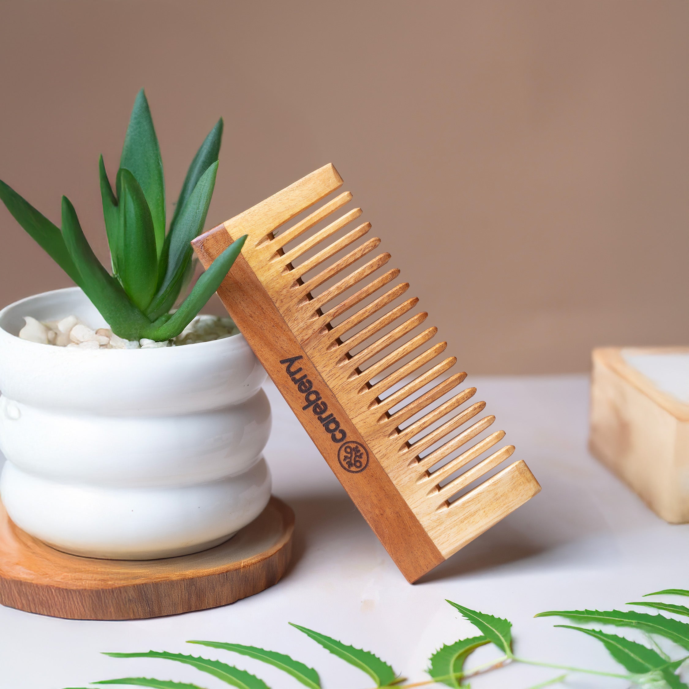 Careberry wooden neem comb leaning against white ceramic pot with aloe vera plant, wooden coaster, and natural beauty ingredients on neutral background, spa wellness scene.