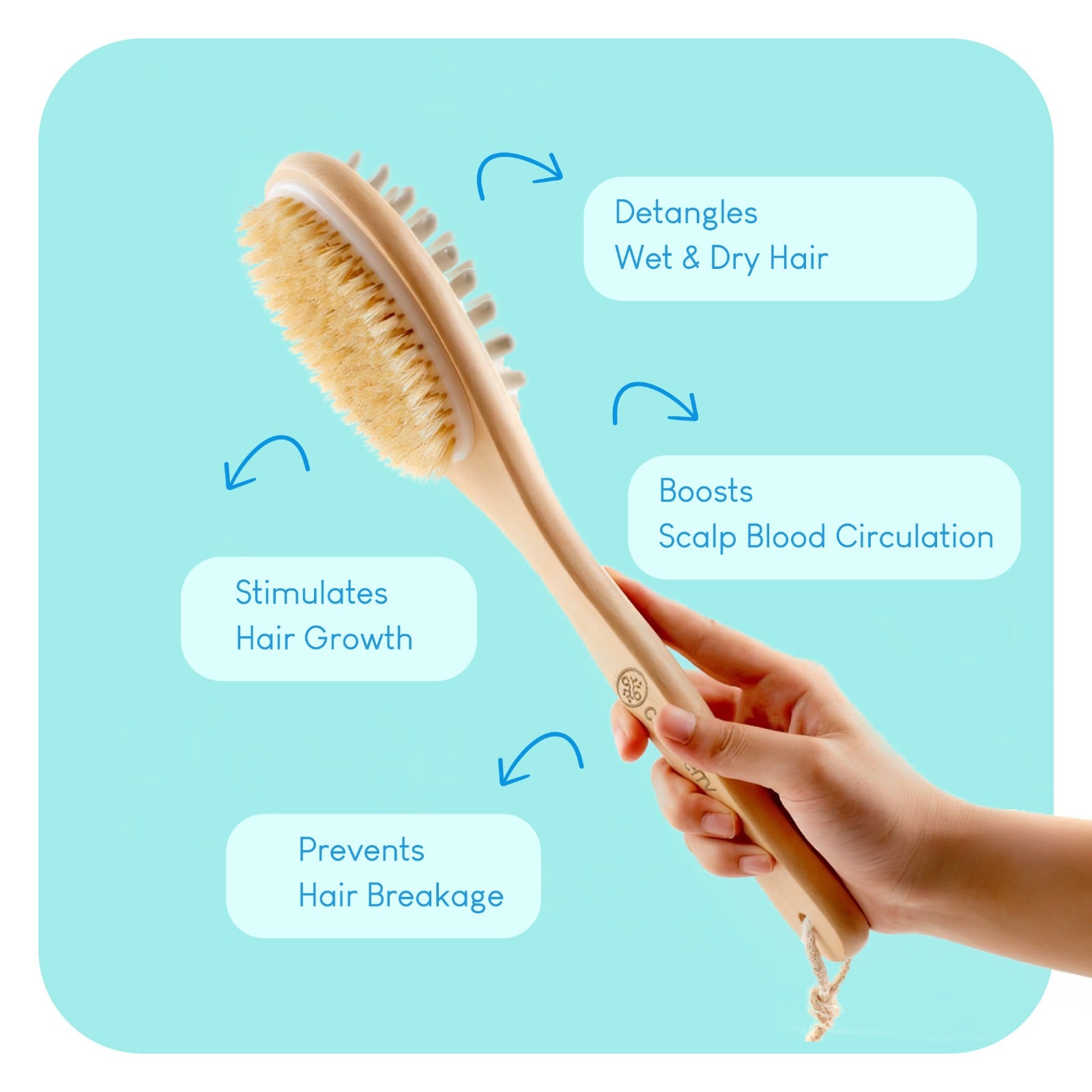 Careberry natural body brush on light turquoise background with arrows highlighting benefits: detangles wet and dry hair, boosts scalp circulation, stimulates growth, prevents breakage.
